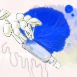 2013.03.15microfilesericchengyang
