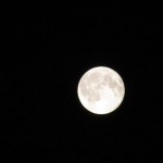 2015-07-3123.43.36