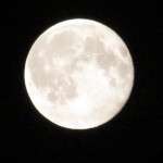 2015-07-3123.44.24