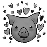 animalrightsmelissajohns