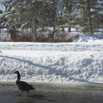 cold2