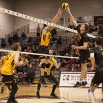 uw_mvball_v_gue_mar100560