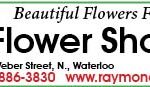 RaymondsWEBad (1)