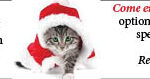 ALLEYcatCAFEweb