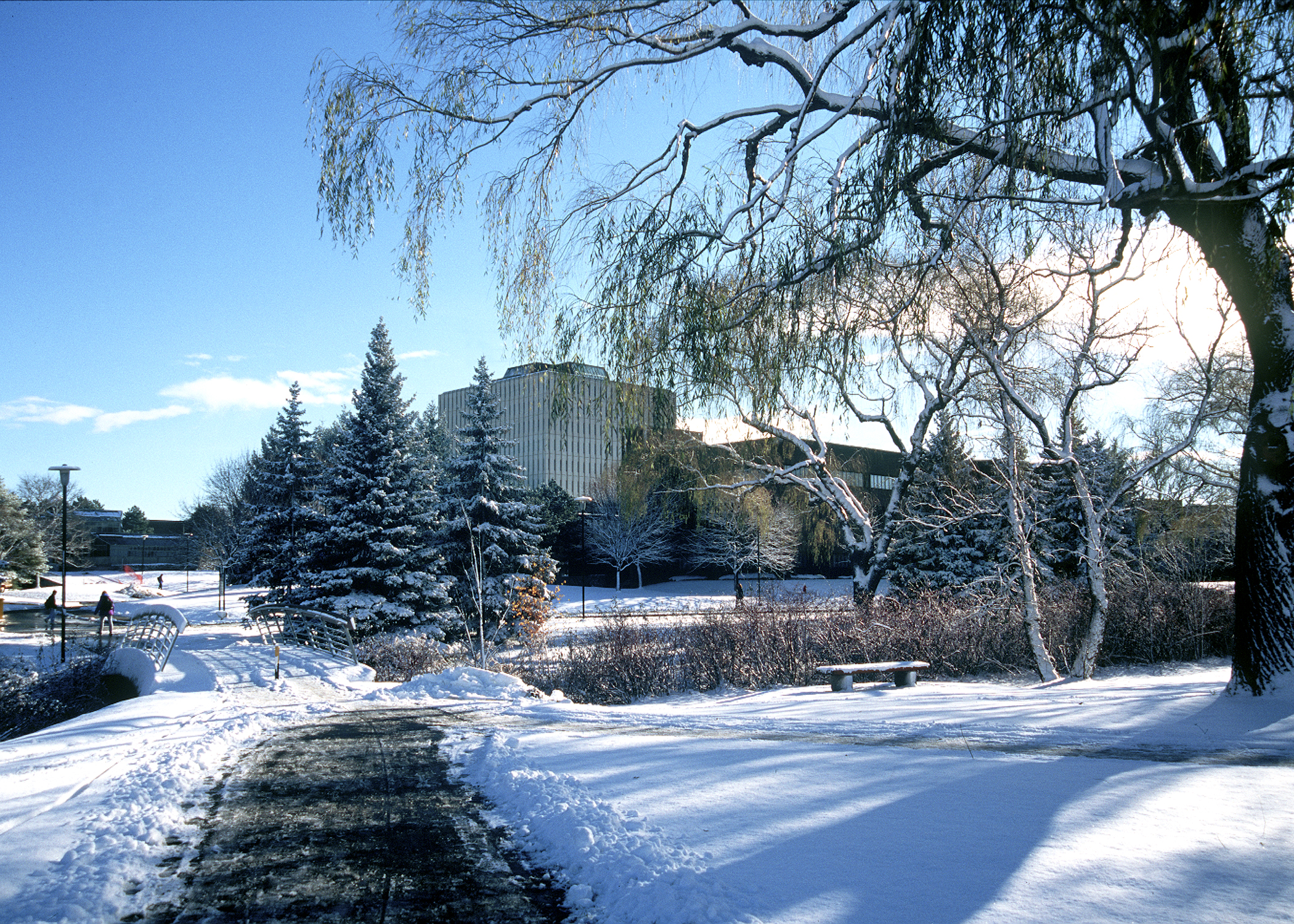 uwaterloo_campus_winter