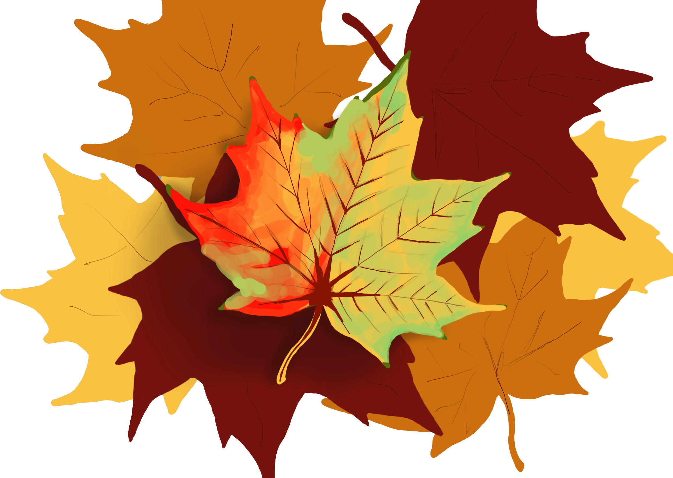 Leaves changing-science-Heather Ecobichon