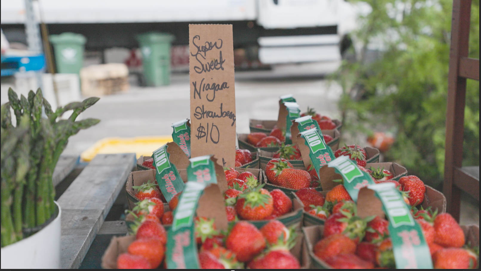 strawberries st jacobs - andrew yang