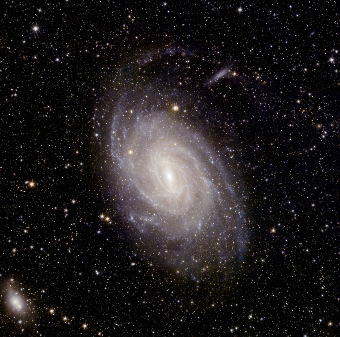 The stars and their secrets: Will Percival and his journey to understanding the universe